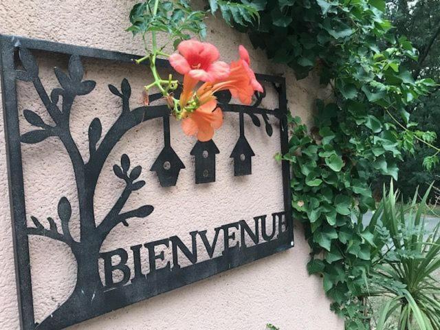 B&B Les Muscades Saint-Étienne-du-Grès Esterno foto